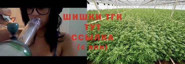 хмурый Заводоуковск
