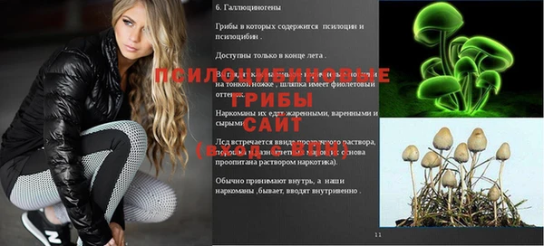 амфетамин Заволжск